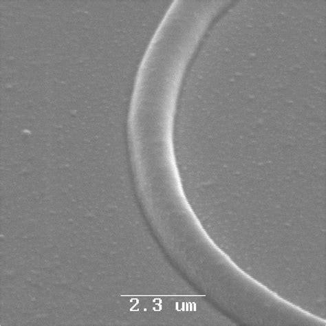 Scanning electron microscope (SEM) image of the sample with an ... 