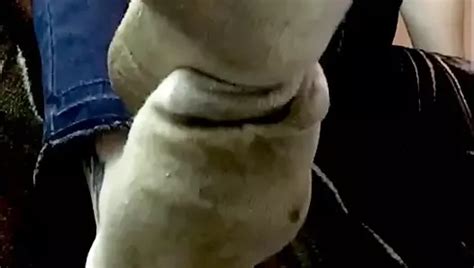 Toilet Pissing Shaving My Pussy Hair Farting Porn Feat Goddess Amanda Xhamster