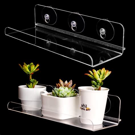 Amazon Pack Suction Cup Window Shelf For Plants Inches