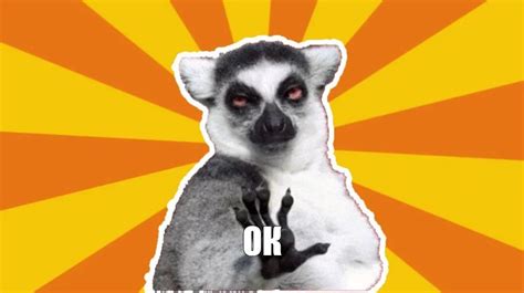 Chill Out Lemur Meme