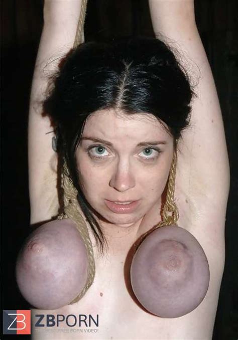 Taut Orb Restrain Bondage Purple Edition ZB Porn