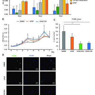 Effects Of ADSC CM And ADSC EVs On HDFs A The Proliferation Of HDFs