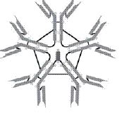 Ch. 18: Adaptive Specific Host Defenses Flashcards | Quizlet