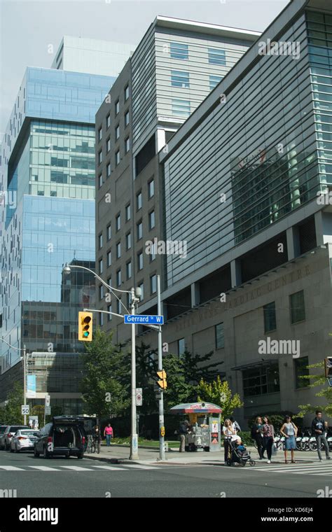 toronto skyline fall color   res stock photography  images alamy