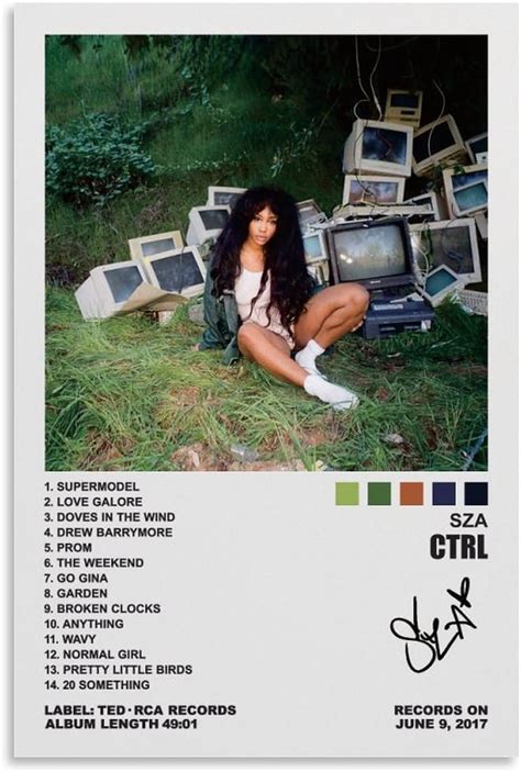 Amazon YELLOWV SZA Poster CTRL Album Cover Posters For Room