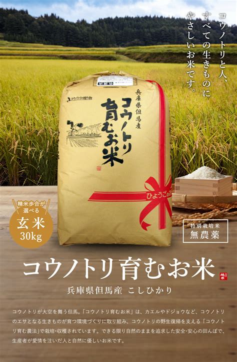 【楽天市場】令和6年産新米 予約 10月上旬発送 無農薬 玄米30kg 無化学肥料 米 生命を育むお米 無農薬米 コウノトリ育むお米 無農薬