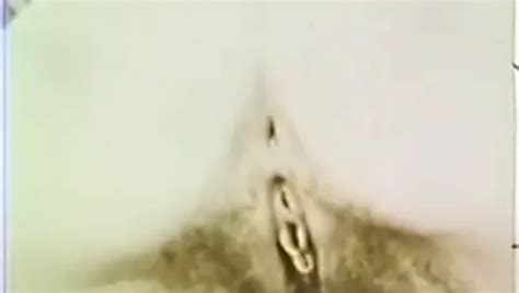 Rah Rah Site Seer Hairy Hairy Porn XHamster