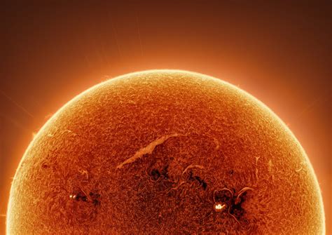 hot   backyard photographer captured     detailed