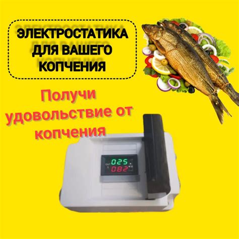 электростатика для коптильни купить по низкой цене с доставкой в ...
