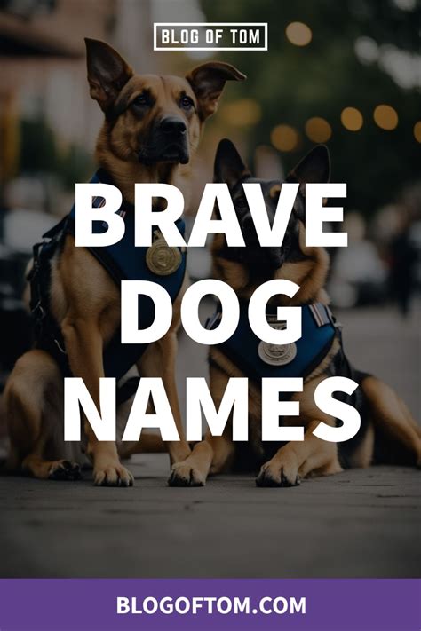 100 german dachshund names male and female dachshund names – Artofit