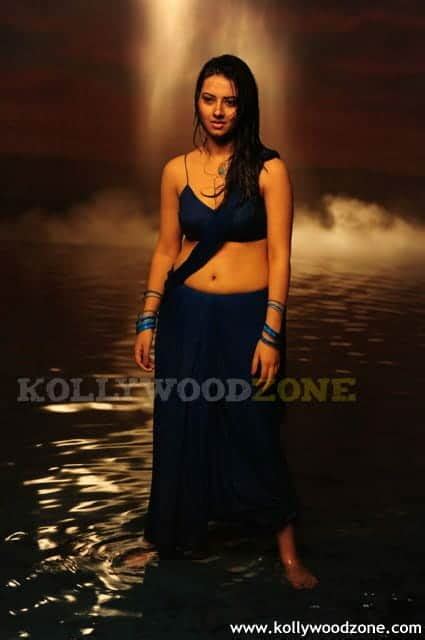 Hot Pictures Of Actress Isha Chawla Kollywood Zone