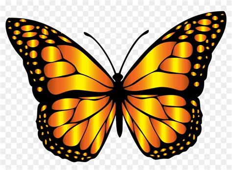 Clipart Orange Butterflies Butterfly Clip Art Free - Clip Art Monarch ...