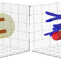 Examples of chromophore distributions that can be created using the ...