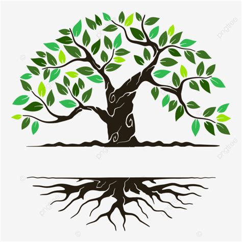 Plantilla De Logotipo De árbol Y Raíces Png Dibujos Logo árbol