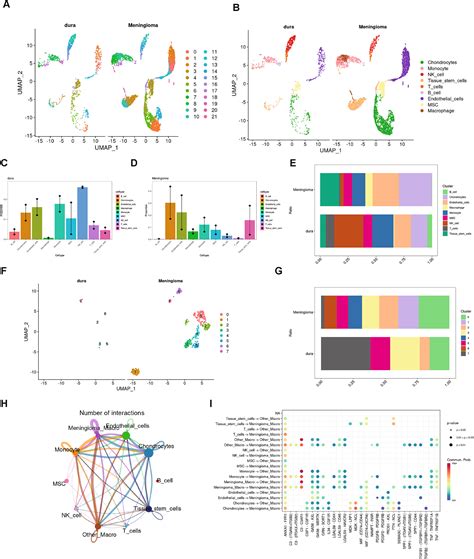 Singlecell RNA Sequencing Identifies Macrophage Signatures Correlated