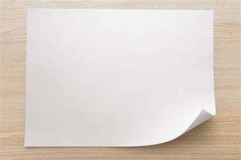 Thin in Spanish | English to Spanish Translation - SpanishDictionary.com