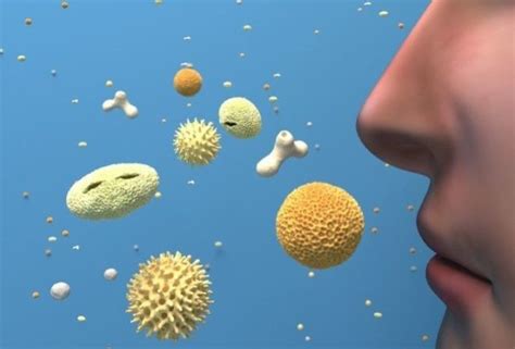 Мучает аллергия? Самые эффективные способы борьбы с недугом