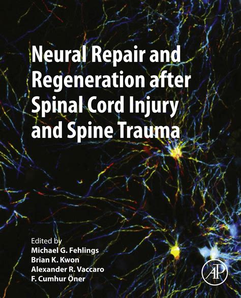 Neural Repair and Regeneration after Spinal Cord Injury and Spine