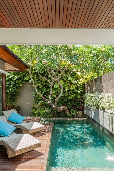 amazing poolside gardens  refresh  outdoor homemydesign