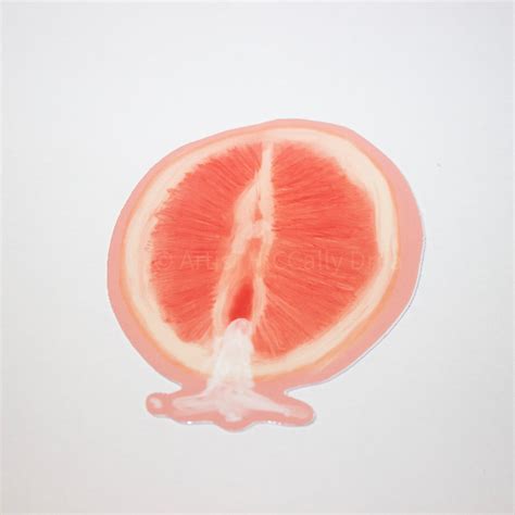 Adult Sticker Vagina Sticker Vulva Sticker Forbidden Fruit Adult