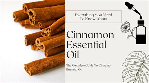 Top 30 Health Benefits Of Cinnamon Essential Oil⚗️