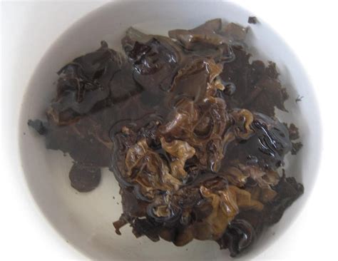 Черный древесный гриб, Иудино ухо, Аурикулярия уховидная или Черный ...