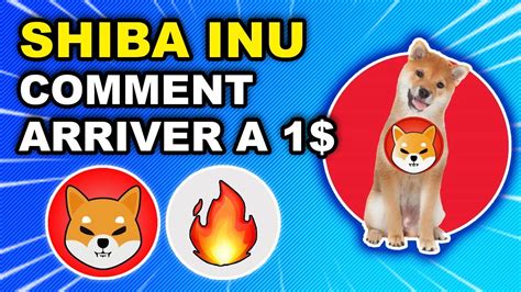 Shiba Inu Shib A Comment Y Arriver Les Derniers Burns