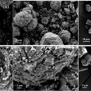 SEM images of SP17 with different crystallization time. (a, d) 24h, (b ...