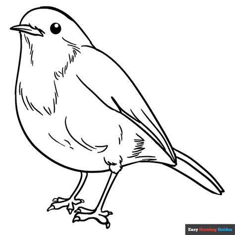 Robin Hood Printable Coloring Robin Hood Drawing At Getdrawings Free