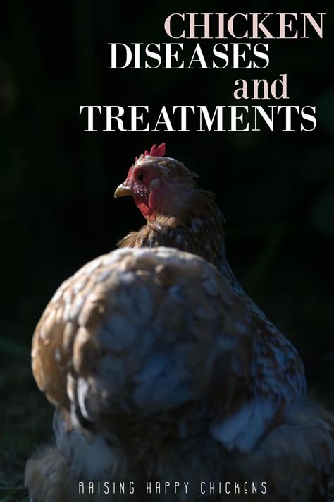 Common Chicken Diseases And Their Treatment Artofit