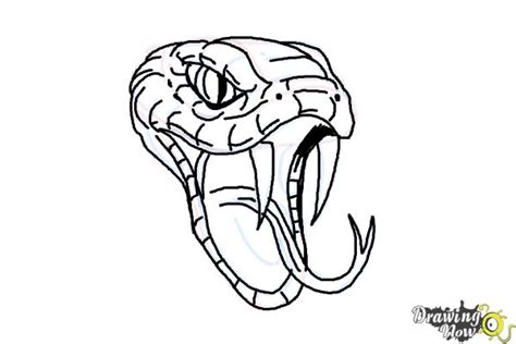 How to Draw a Snake Head - DrawingNow