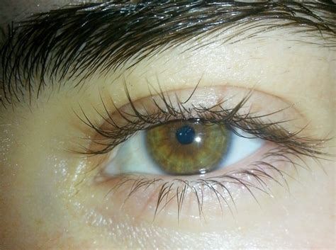 Pin By Mariam On Eyes Aesthetic Eyes Olive Green Eyes Beautiful