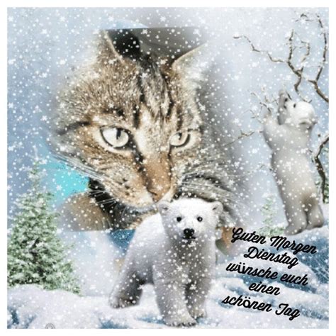 A Cat And Two Polar Bears In The Snow With Words Written Below It That