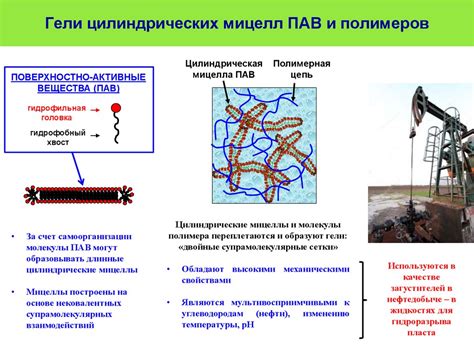 «Умные» полимерные гели с высокими механическими свойствами для ...