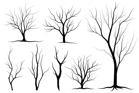 Black Branch Tree Or Naked Trees Silhouettes Set Hand Drawn Isolated Illustrations