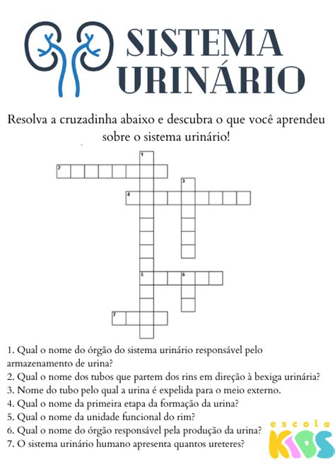 Atividades Sistema Urinario 5 Ano - Sistema urinário: órgãos, funções, exercício - Escola Kids