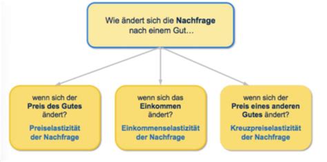 Sw Elastizit Ten Karteikarten Quizlet