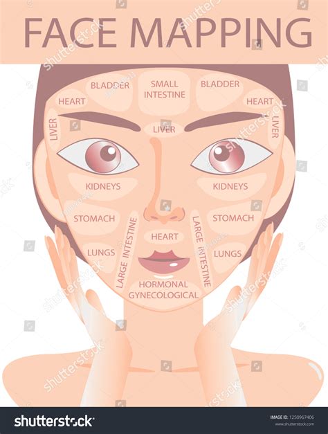 Acne Face Map Vector Illustration Beauty Stock Vector Royalty Free 1250967406 Shutterstock