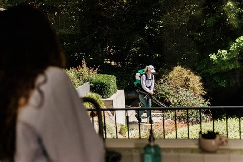 yellowjackets how to get rid of