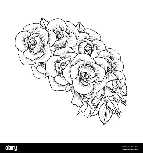 Red Roses Flower Coloring Page Line Sketch Drawing With Decorative Anti