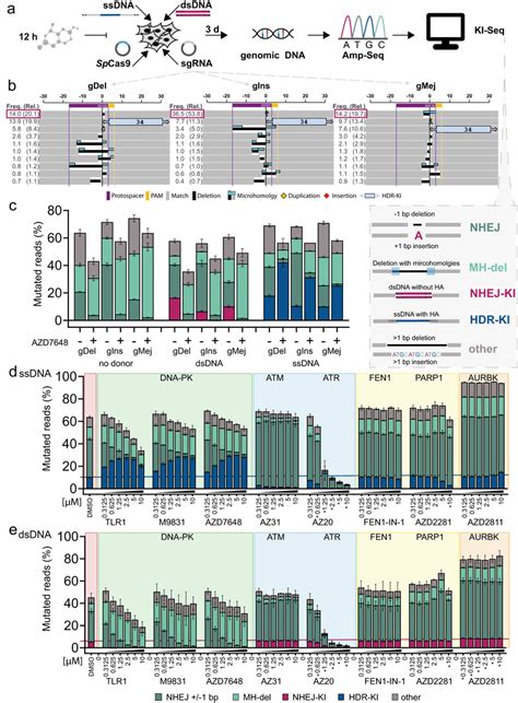 Knock In Sequencing Ki Seq Determines Dna Repair Outcomes At