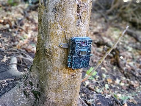 Diy Metal Strap Trail Camera Tree Mounts The Diy Hunter