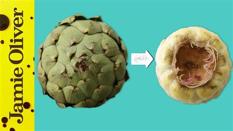 How To Peel Cut And Prepare An Artichoke 1 Minute Tips French Guy