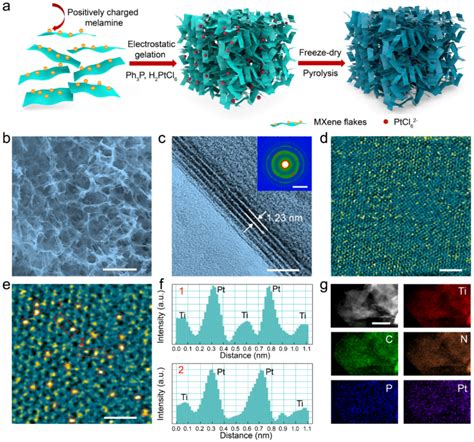 湖南大学谭勇文课题组ACS Nano金属单原子位点修饰氮磷双掺杂Ti3C2TX纳米片的通用合成策略 腾讯新闻