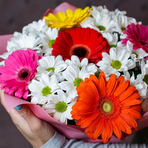 Красивый букет из хризантем и гербер - 73 фото