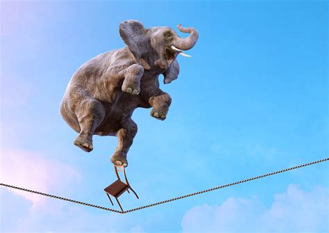 equilibrium glossary developing experts
