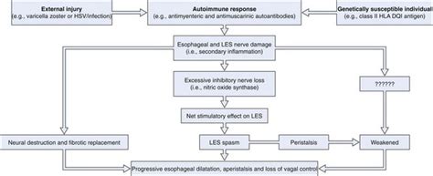 Achalasia Clinical Gate