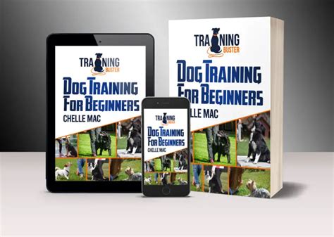 How To Train Your Dog To Poop In a Designated Area - Training buster