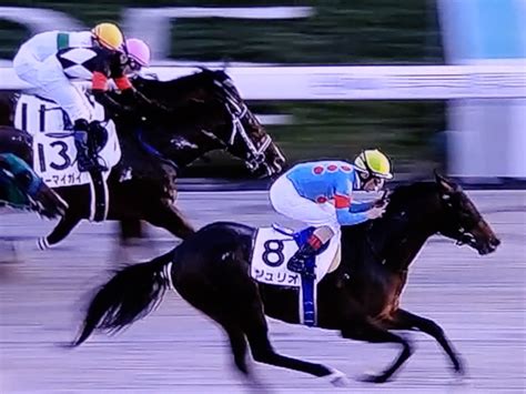 愛馬ジュリオ、初ダートで後方一気vルメール愛馬で全3勝 涙を馬のたてがみに心は遠い草原に