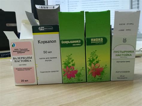 5 настоек для успокоения нервной системы: рецепты и правила приема